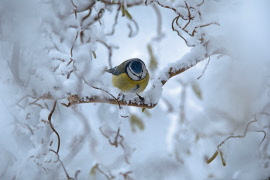 Dags för lite påminnelser igen! Vecka 48 kommer nya Tidningen, ta vara på vår annons.
