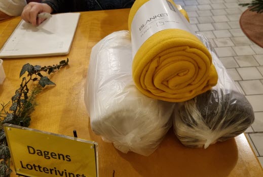 230109 Månadsmöte med Karin Reibring