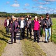 Vandringar Start 31 mars