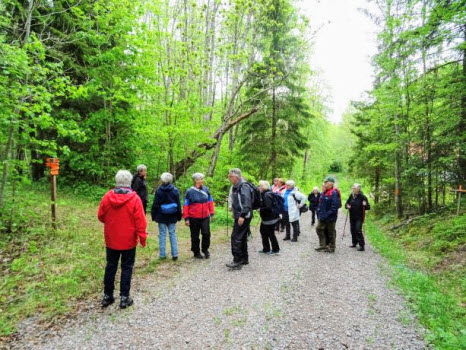 Skönnarboleden 2019