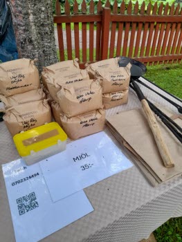 Utflykt till Ingvastebo