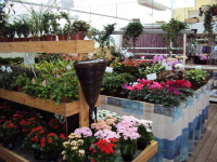 Månadens sponsor december