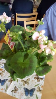 Möte 190513