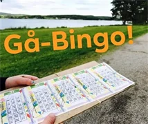 GÅ - BINGO PÅ SÖNDAGAR UNDER VÅREN
