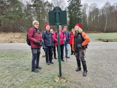 Skön vandring i Lill-Jansskogen