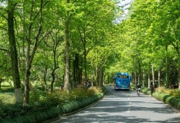 Bussresa med VisioNi - dagsresa till Skåne 15 maj