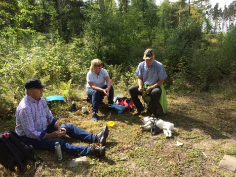 Vandring i ekskogen 2017