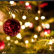 Julträff i Hemvärnsgården.