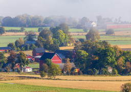 Forum/Dialog för utbildningsansvariga/studieombud och programkommittén i Östgötadistriktets förening
