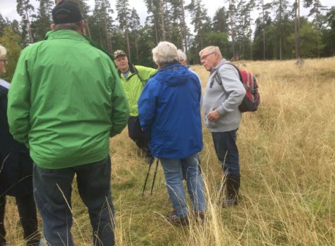 Promenad i Herrängen 2017