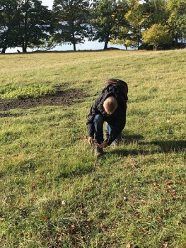 Vandring vid Dagnäsön 191004