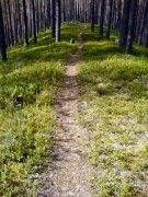 Promenad 20 april 2026