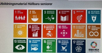 Hållbara Seniorer - projekt - är du intresserad?