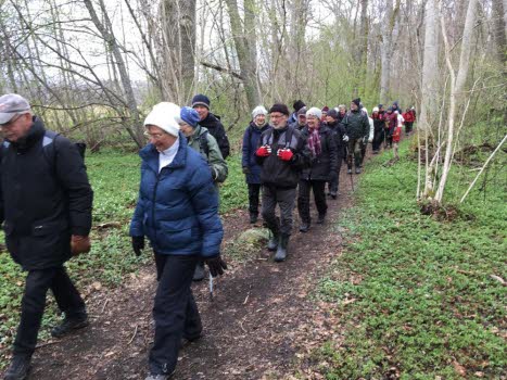 240419 Vandring i Lindudden naturreservat