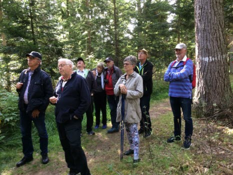 Vandring i ekskogen 2017