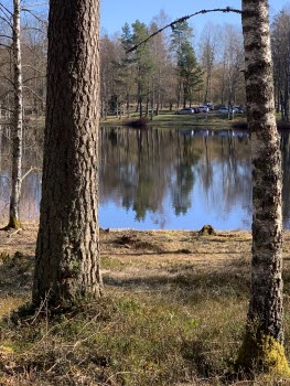 Vy över sjön
