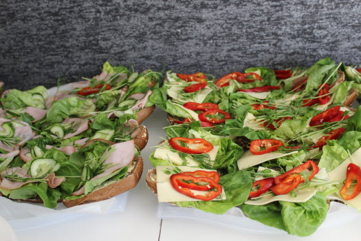 20240513 Hjärnkoll Tjureda