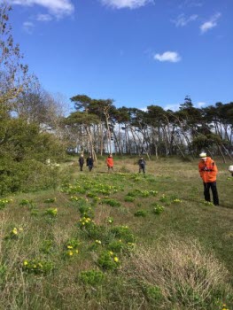 Excursion på Öland