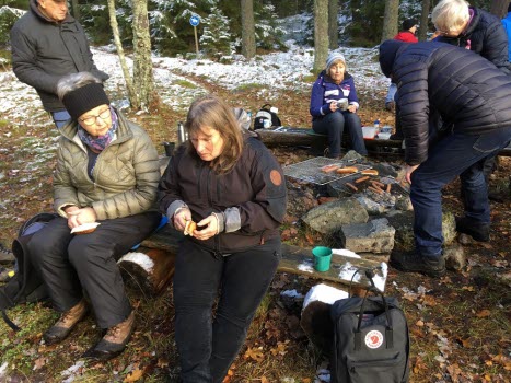 231117 Vandring i Janstorpskogen+