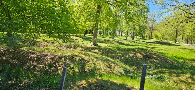Visingsö (Hemlig resa) 2026-05-05