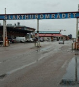 Vandring i Slakthusområdet