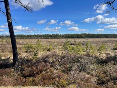 230428 Fjällmossens naturreservat