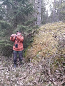 240411 Fågelskådning vid Hummelvik