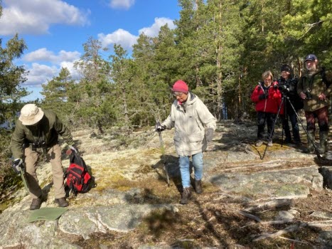 Fågelskådning vid Halla 230427