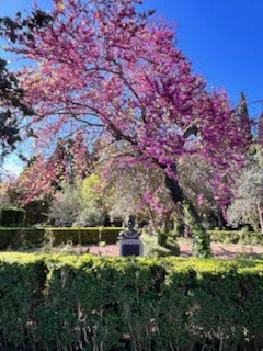 2026-04-15 Mallorca Bild7.jpg