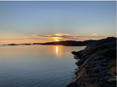 Sommarhälsning 260608