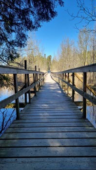 240507 Vandring runt Duveholmssjön