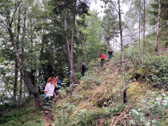 Måndagspromenad v 26