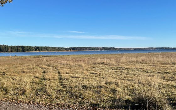 Vandring vid Strandstuviken