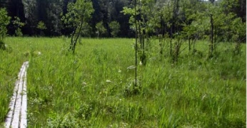 Naturspan 10 juli