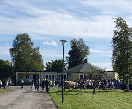 Utställare vid Seniordag 2025