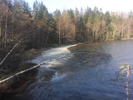 Vandring vid Gisesjön 190405