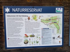 Naturpromenad 4 maj Herrfallsäng