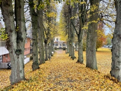 Nu är vårt program för våren 2026 klart