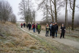 Rapport promenad 24 nov