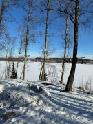 Promenad 2 mars 2026