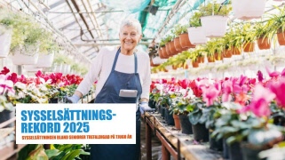 Sysselsättningsrekord 2025 – allt fler seniorer jobbar vidare