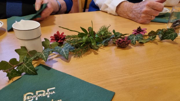 230109 Månadsmöte med Karin Reibring