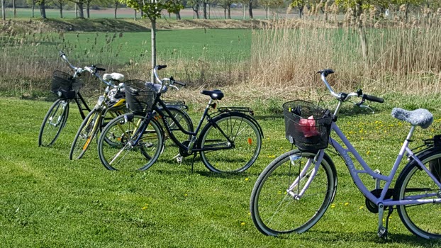 Folkhäsovecka 8 till 12 maj 2023