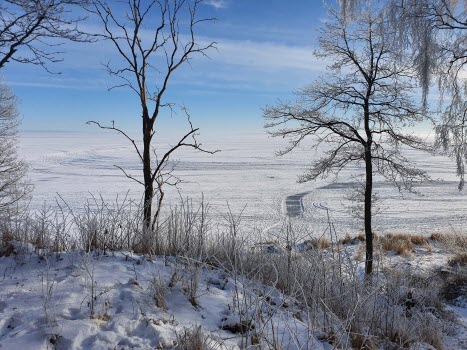 Vinterpromenad 15 feb
