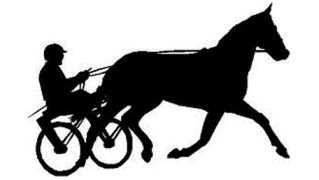 Lunchtrav Axevalla Travbana 14 april