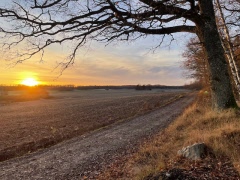 Rapport från RPR i Katrineholm  20 november 2025