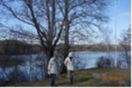 210326 Vandring vid Söra Sörmlandsleden