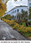 Från Ålsten till Alvik