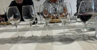 IMG_2727.JPEG