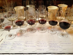 SPF Stigtomta-Vrenabygden har haft vinprovning